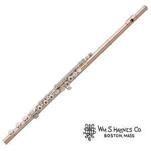 헤인즈 9K 골드 플루트/ 9K FUsion(D.N) 전문가용 플룻